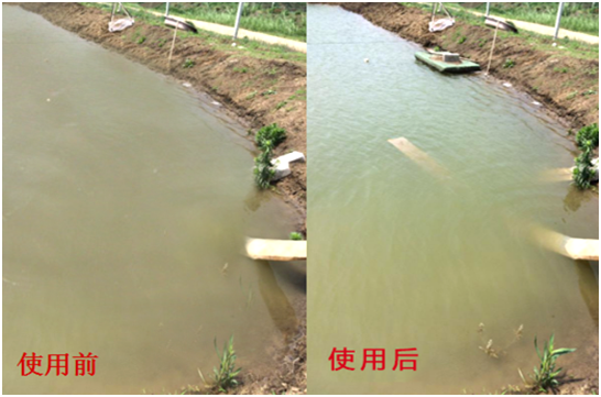 渾濁水、對(duì)蝦吃料差怎么處理？